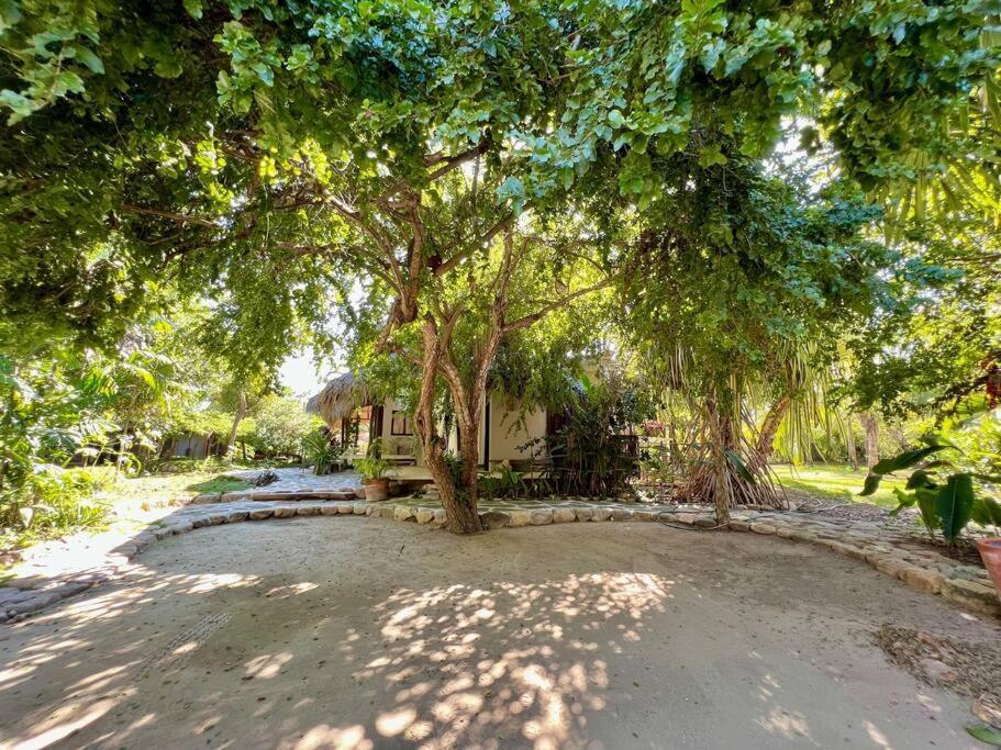 Casa Kuul, Elegant Fusion Of House And Garden. Villa Puerto Escondido  Dış mekan fotoğraf